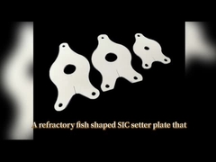 উচ্চ তাপমাত্রা সিক সেটার প্লেট